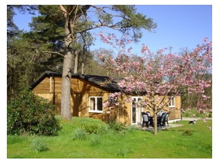 Holiday Cottage Reviews for Airdeny Chalets - Holiday Cottage in Taynuilt, Argyll and Bute