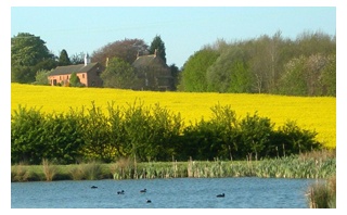 Holiday Cottage Reviews for Old Barn Cottages - Self Catering in Horncastle, Lincolnshire