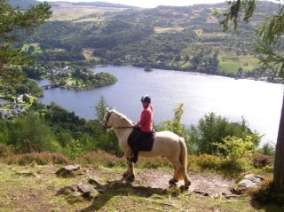 Holiday Cottage Reviews for Stables Cottage - Holiday Cottage in Aberfeldy, Perth and Kinross