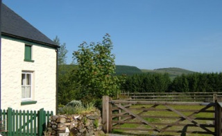 Holiday Cottage Reviews for Cerrig Glas - Cottage Holiday in Clynderwen, Pembrokeshire