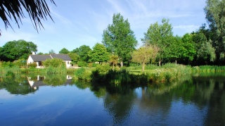 Holiday Cottage Reviews for Lakeside Cottage - Holiday Cottage in Ivybridge, Devon