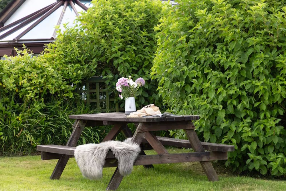 36picnicbench3