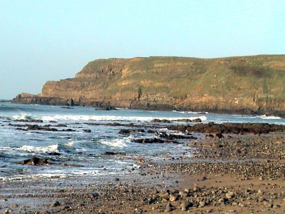 54widemouth
