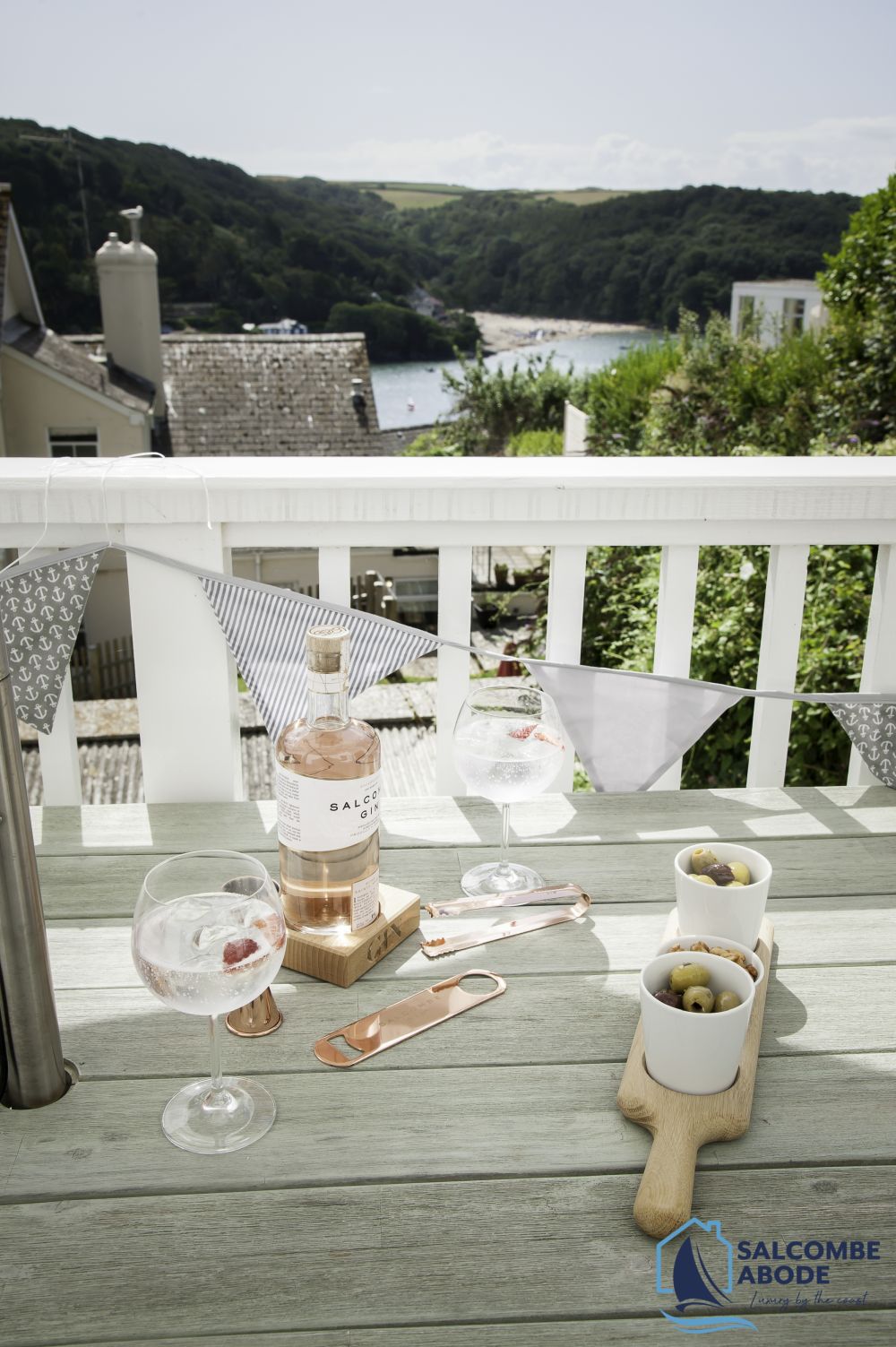 Beach View Salcombe2