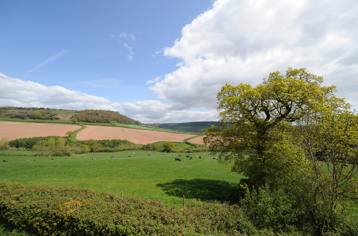 Bellcottage Sidmouth Devon Views