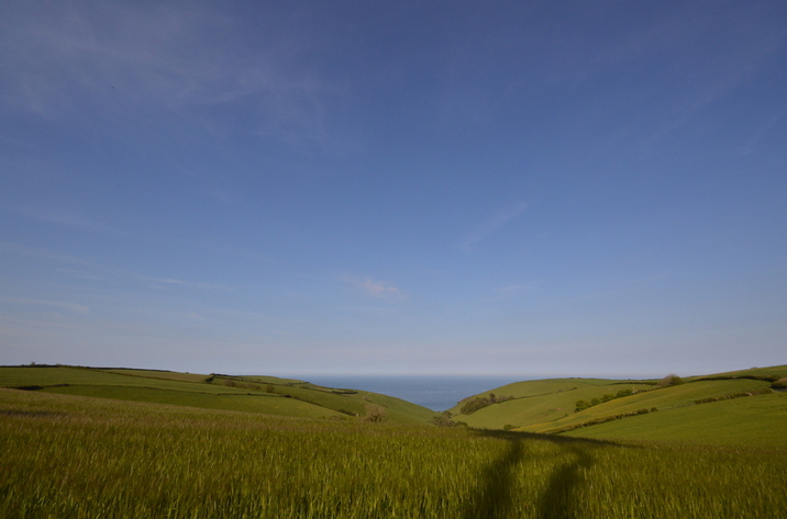 Buzzards View Holiday Cottage In Kingswear2