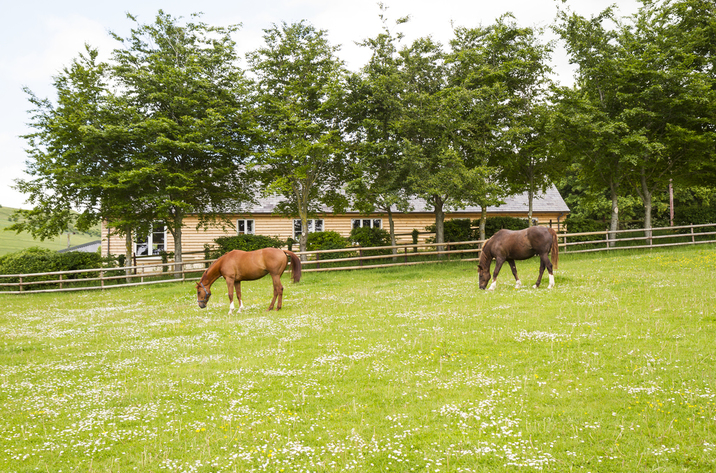 Chisel Barn