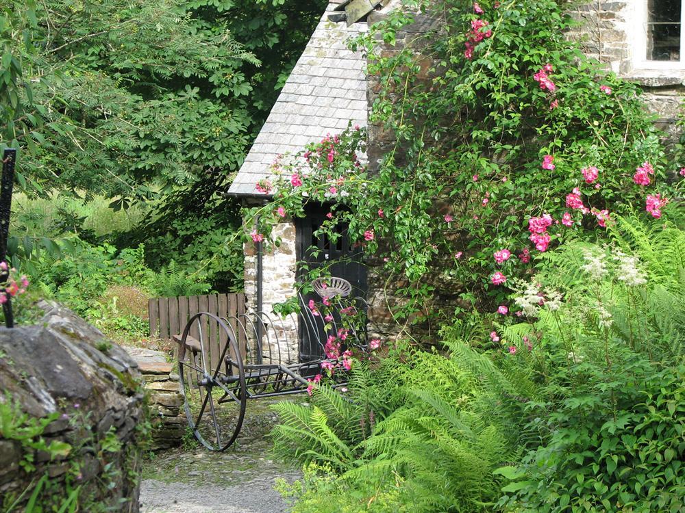 Comfort Wood Cottage Calstock Cornwall24