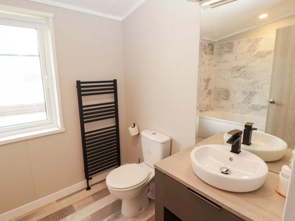 Dolphin Pembrokeshire12