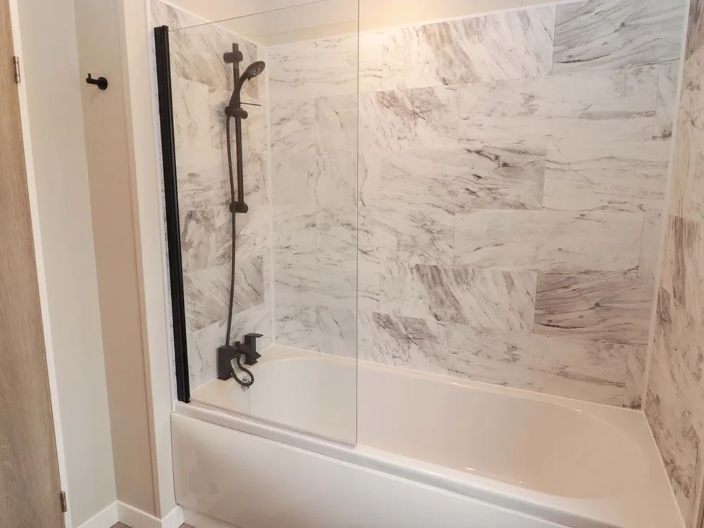 Dolphin Pembrokeshire13