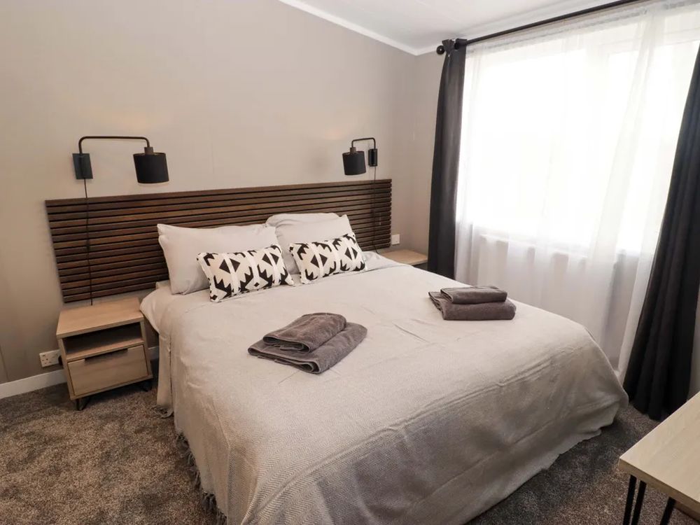 Dolphin Pembrokeshire14