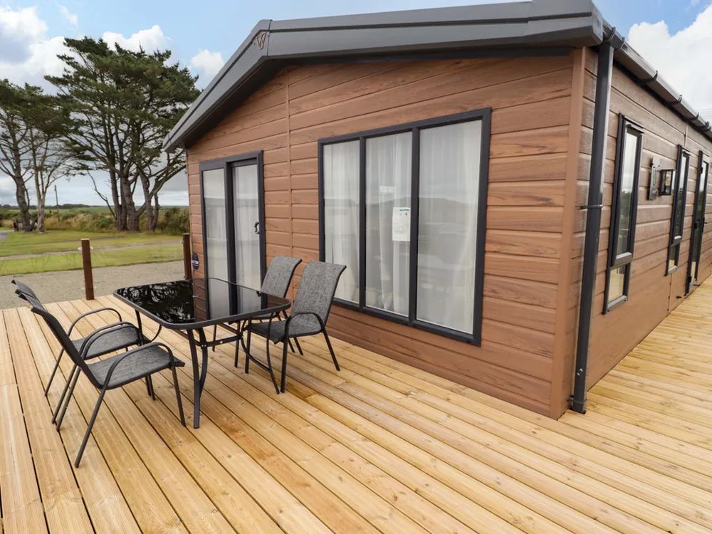 Dolphin Pembrokeshire17