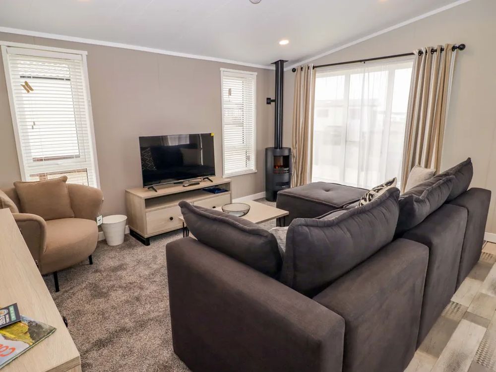 Dolphin Pembrokeshire2