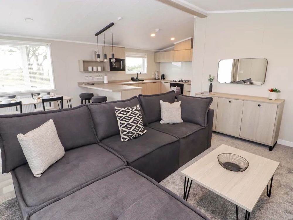 Dolphin Pembrokeshire3