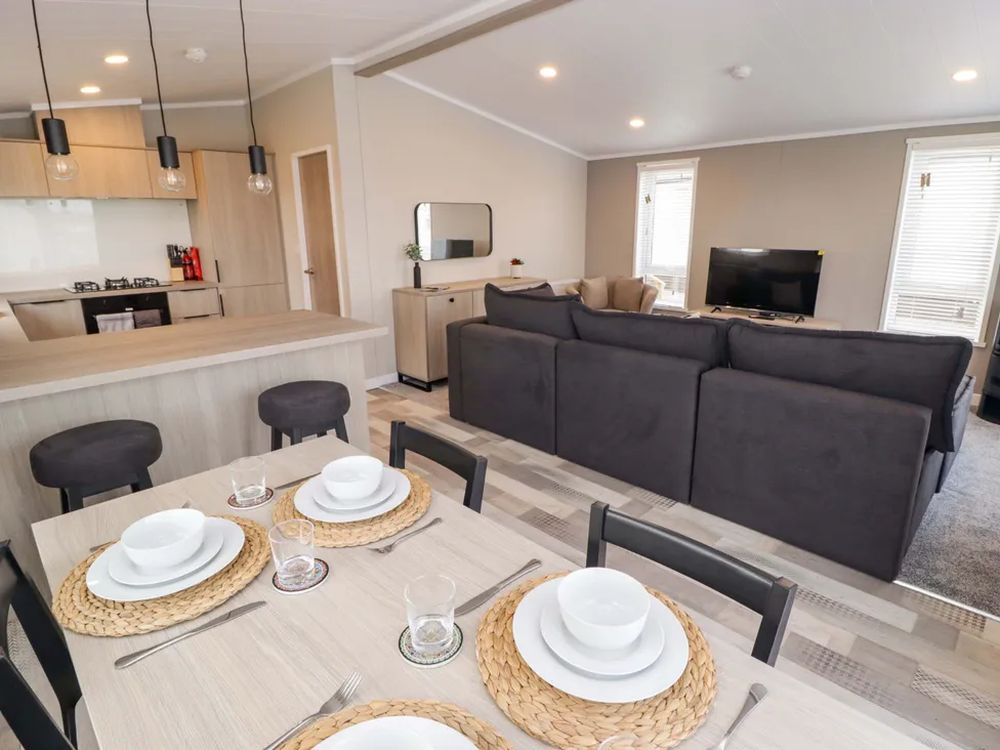 Dolphin Pembrokeshire4