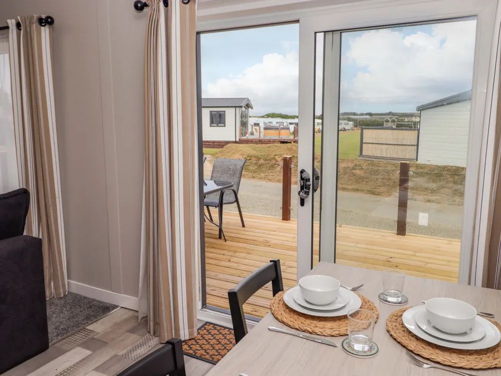 Dolphin Pembrokeshire5