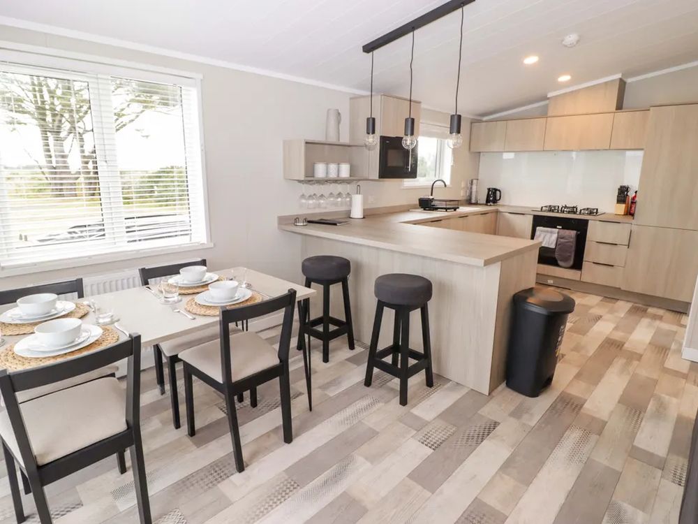 Dolphin Pembrokeshire6