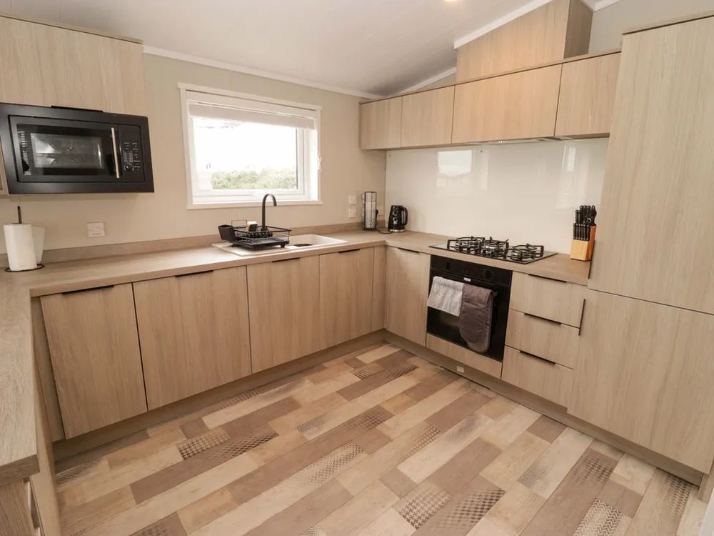 Dolphin Pembrokeshire8