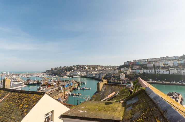 Holiday Cottage Reviews for Farthing Cottage - Self Catering Property in Brixham, Devon