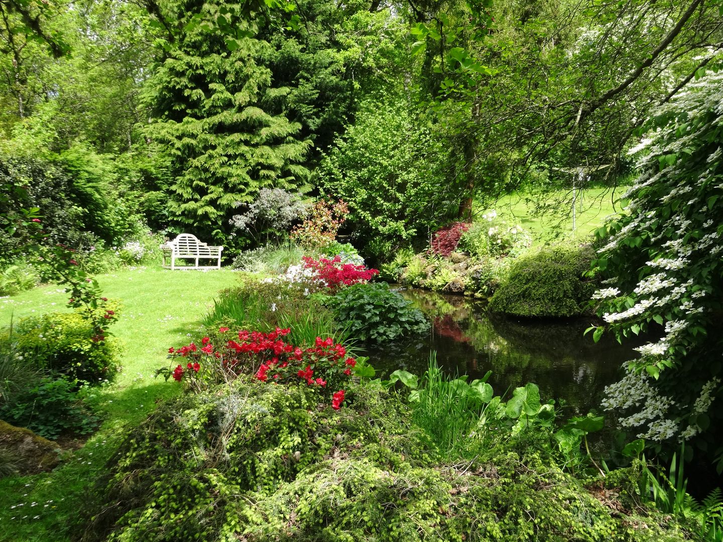 Gibhouse Drewsteignton Garden With Pond