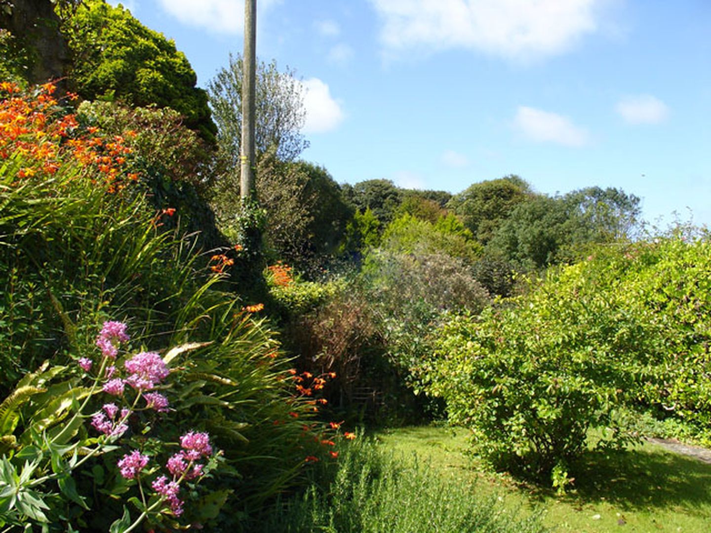 Hill Cottage Boscastle Garden