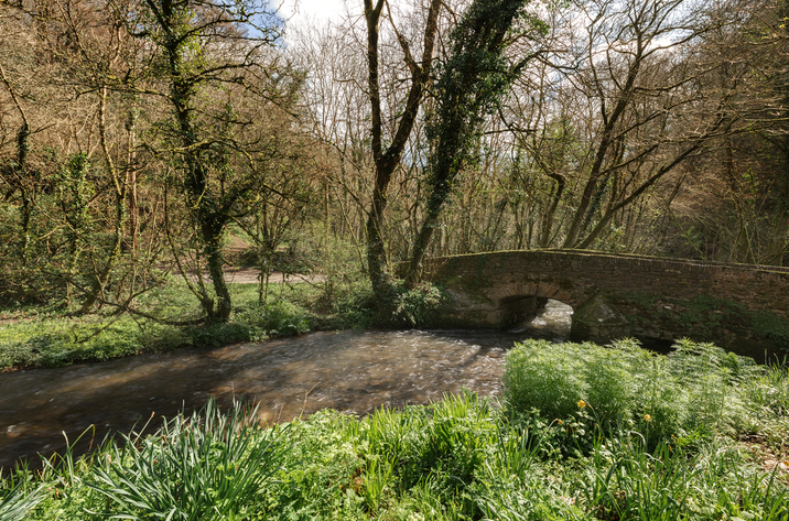 Hillside At Gara Mill In Slapton14