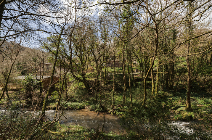 Hillside At Gara Mill In Slapton15