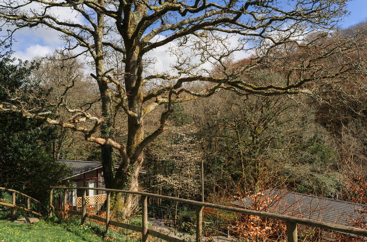 Hillside At Gara Mill In Slapton18