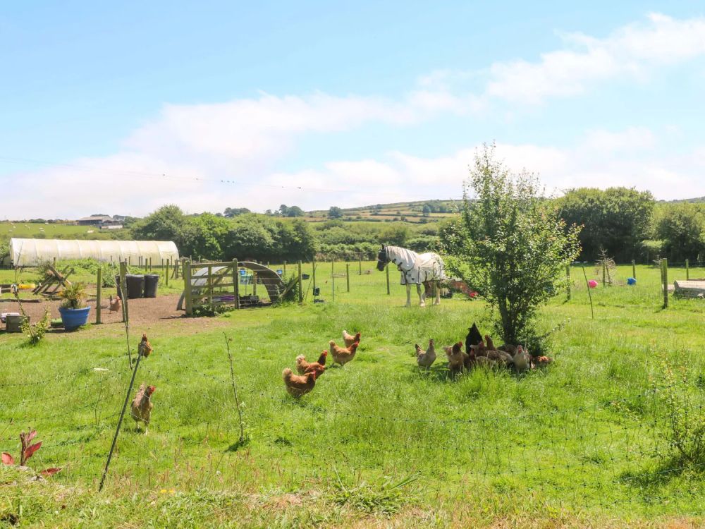 Lavender Cottage Helston16