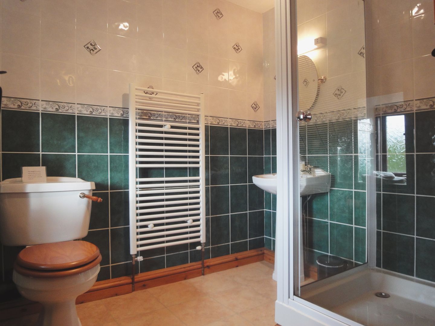 Lower Venton Chagford Shower Room