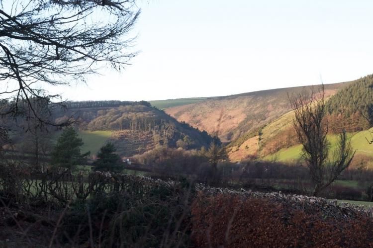 Oare Manor Cottage Lynton18