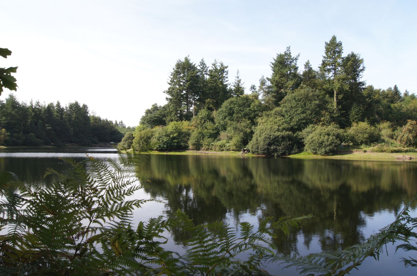 Pond View Near Totiford Reservoir