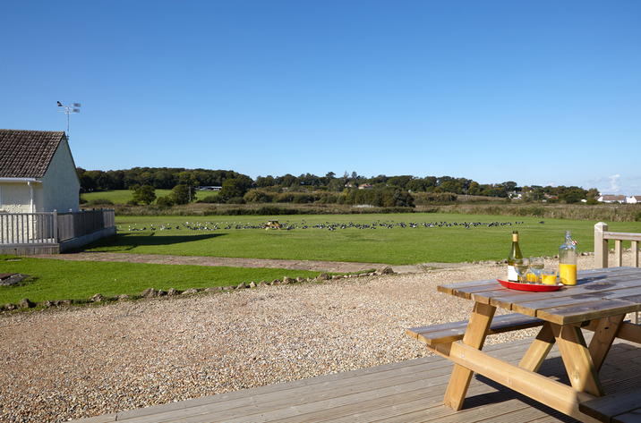 Holiday Cottage Reviews for Redshank Cottage - Cottage Holiday in Seaview, Isle of Wight