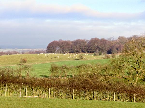 The Byre, Milton, Cumbria - Cottage Holiday Reviews