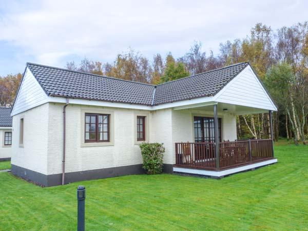 Holiday Cottage Reviews for Little Birch Cottage - Holiday Cottage in Dailly, South Ayrshire