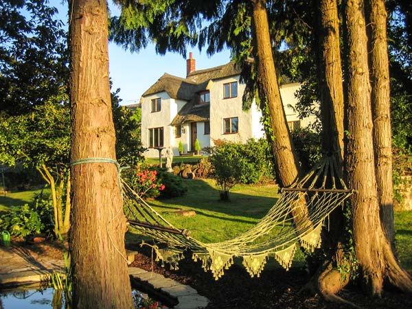 Holiday Cottage Reviews for Shells Cottage - Holiday Cottage in Washford, Somerset