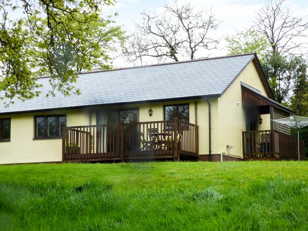 Holiday Cottage Reviews for Woodpecker - Holiday Cottage in Broadwoodwidger, Devon