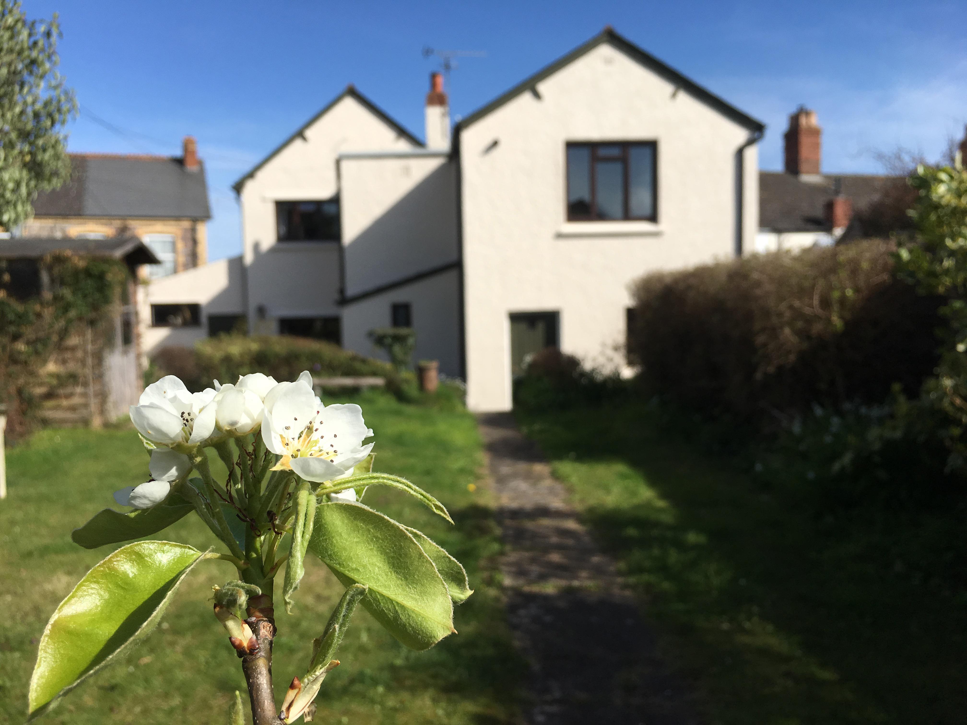 Holiday Cottage Reviews for Greengates - Self Catering in Watchet, Somerset