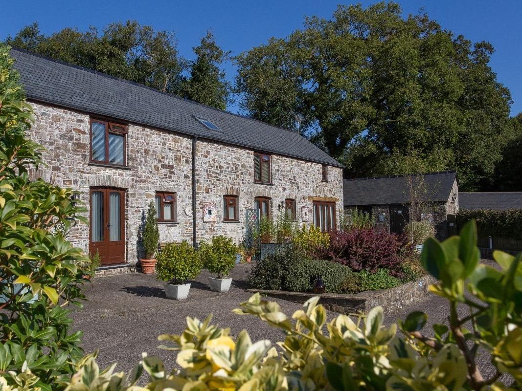 Holiday Cottage Reviews for Motte Cottage - Holiday Cottage in Holsworthy, Devon