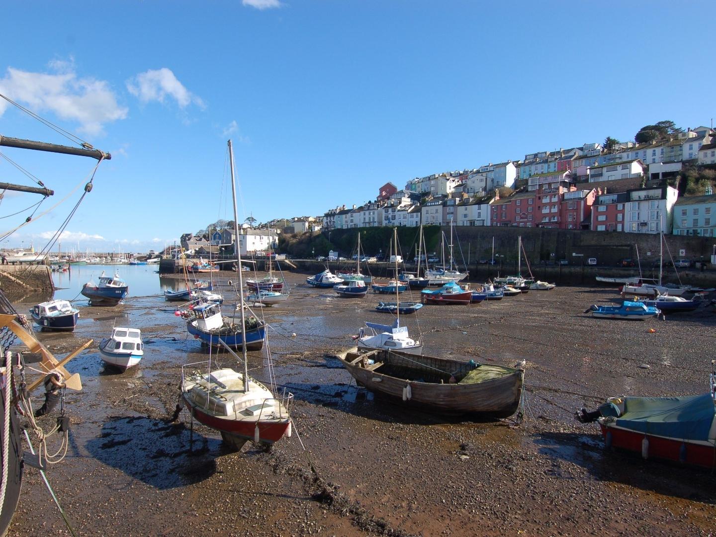Holiday Cottage Reviews for Harbour View Retreat - Holiday Cottage in Brixham, Devon