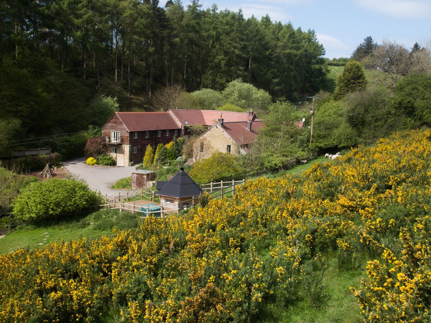 Holiday Cottage Reviews for Munslow Cottage - Holiday Cottage in Diddlebury, Shropshire