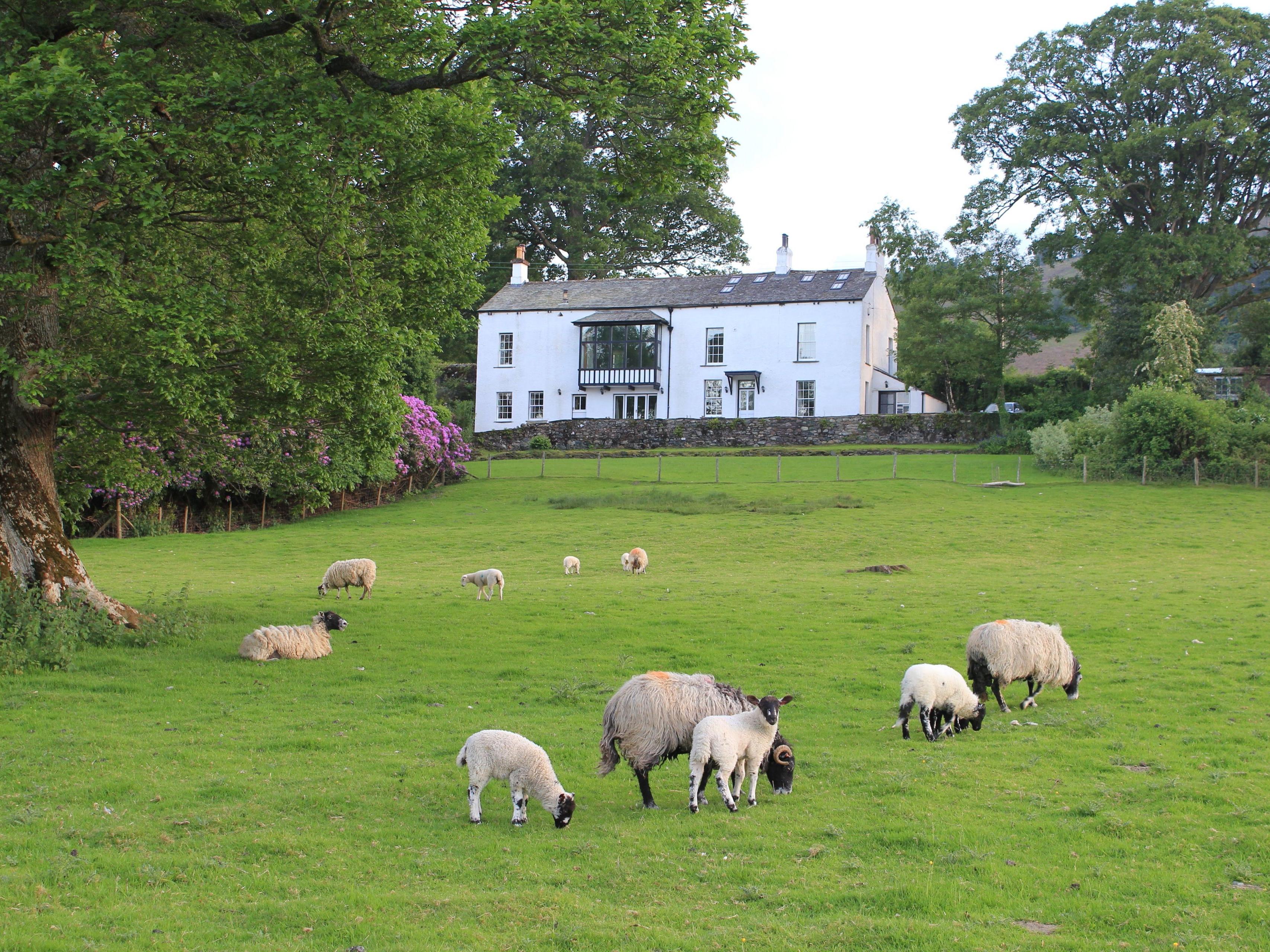 Holiday Cottage Reviews for How End - Holiday Cottage in Braithwaite, Cumbria