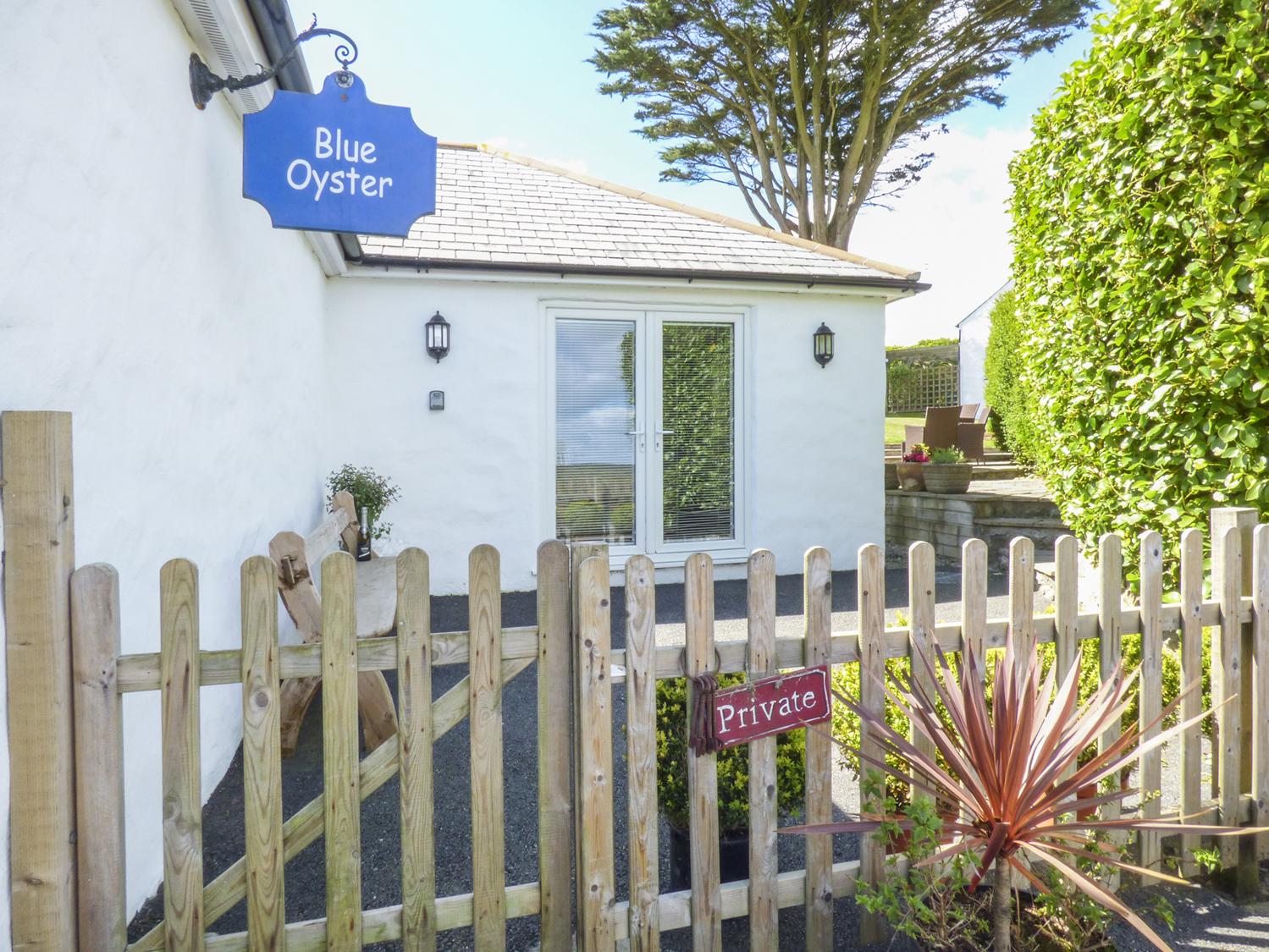 Holiday Cottage Reviews for Blue Oyster - Holiday Cottage in Mullion, Cornwall inc Scilly