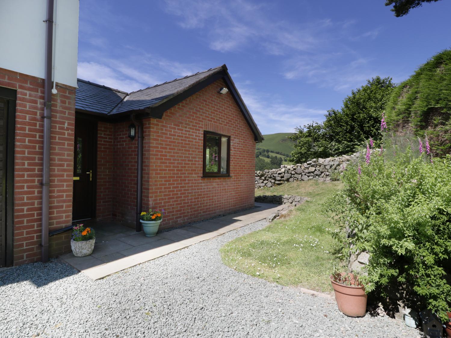 Bryn Coed Bach