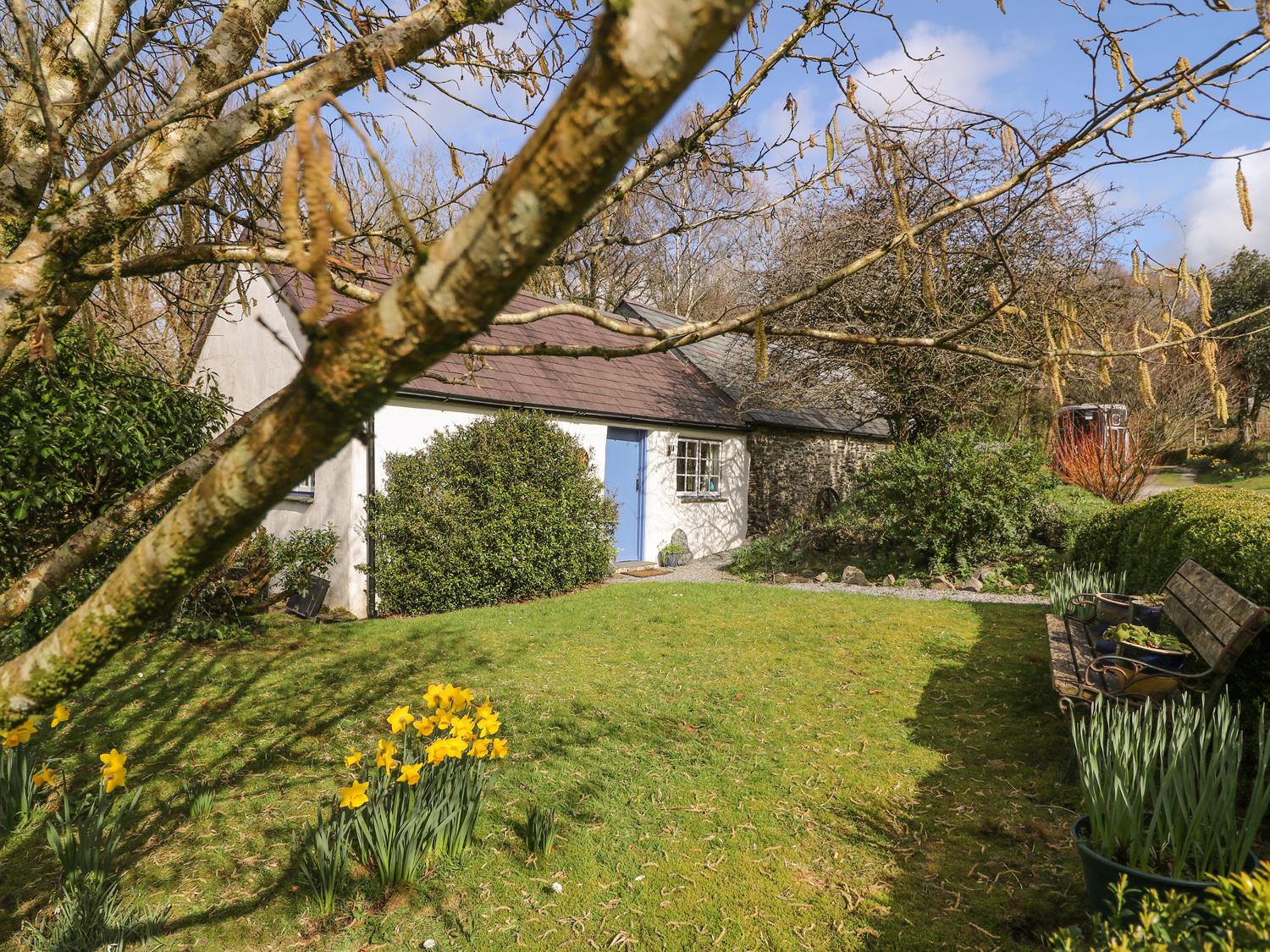 Holiday Cottage Reviews for Hawthorn Cottage - Cottage Holiday in Newcastle Emlyn, Carmarthenshire