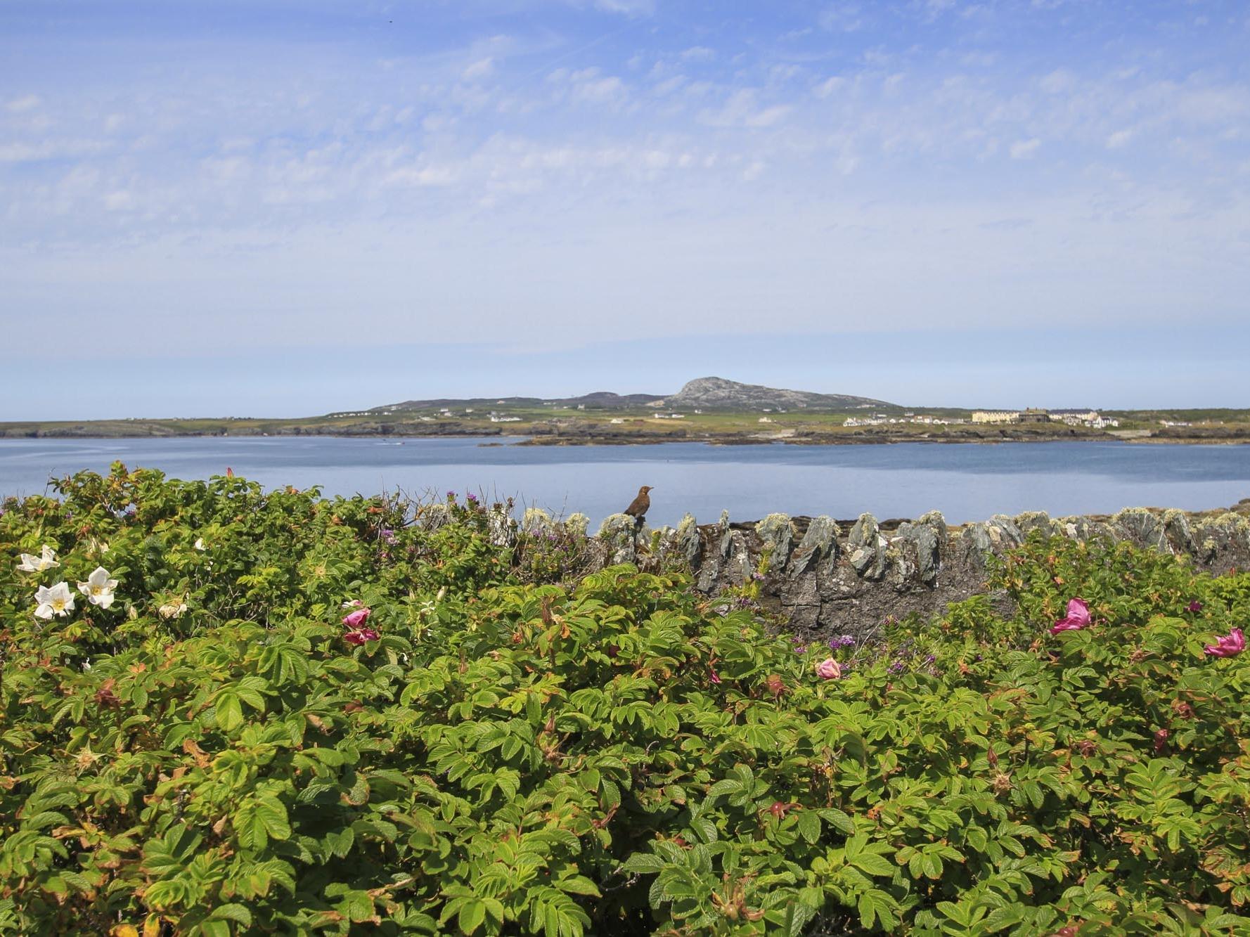 Holiday Cottage Reviews for Ty Bychan - Self Catering Property in Trearddur Bay, Isle Of Anglesey