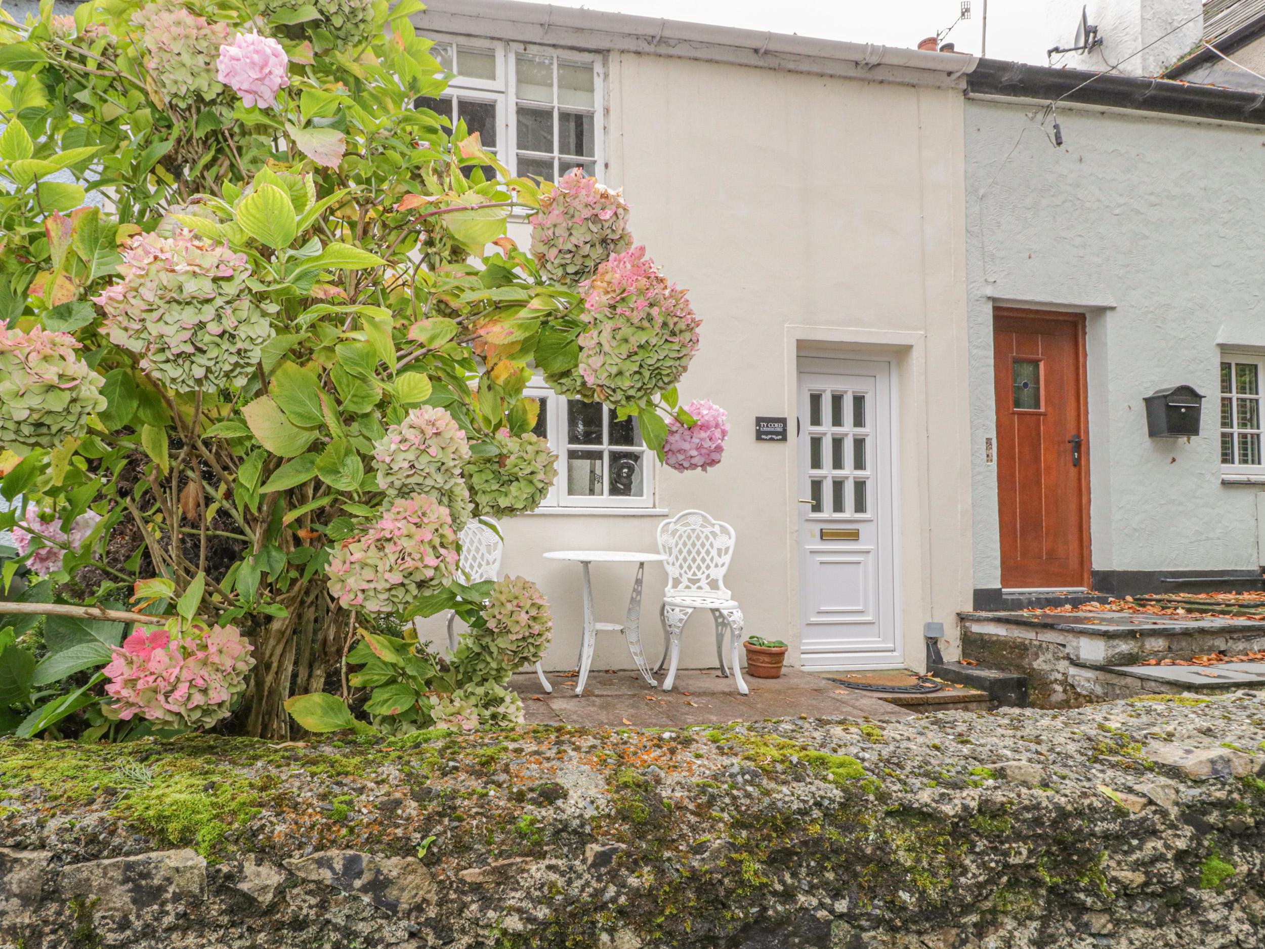 Holiday Cottage Reviews for Ty Coed - Holiday Cottage in Beaumaris, Isle Of Anglesey