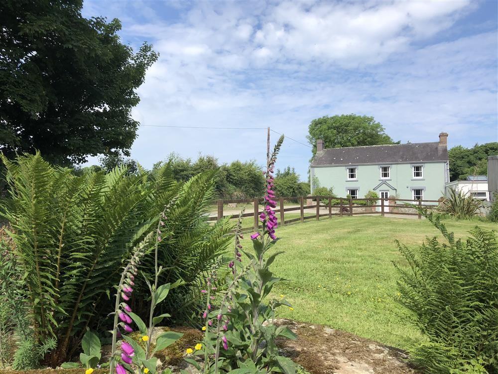 Holiday Cottage Reviews for The Farmhouse - Holiday Cottage in Newport, Pembrokeshire