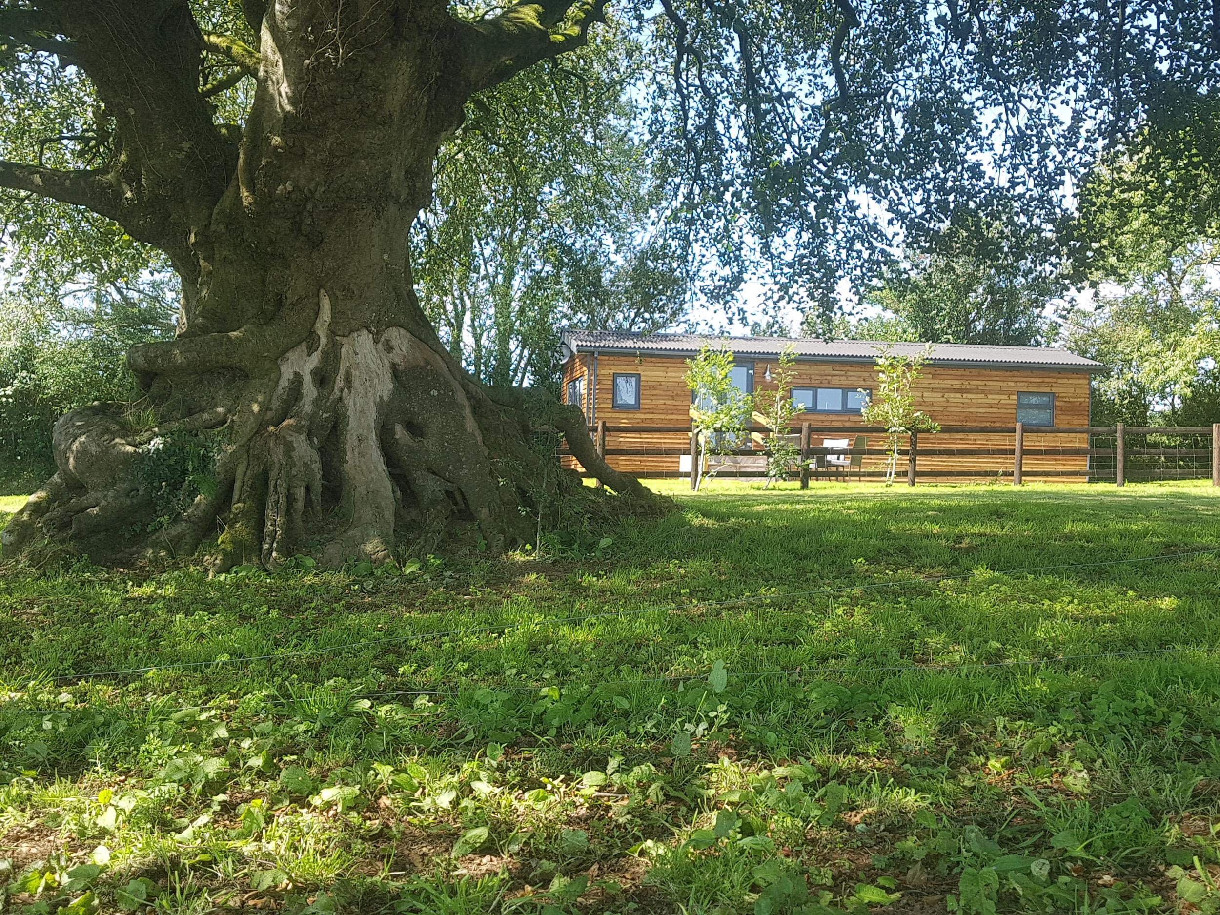 Beech Tree Lodge