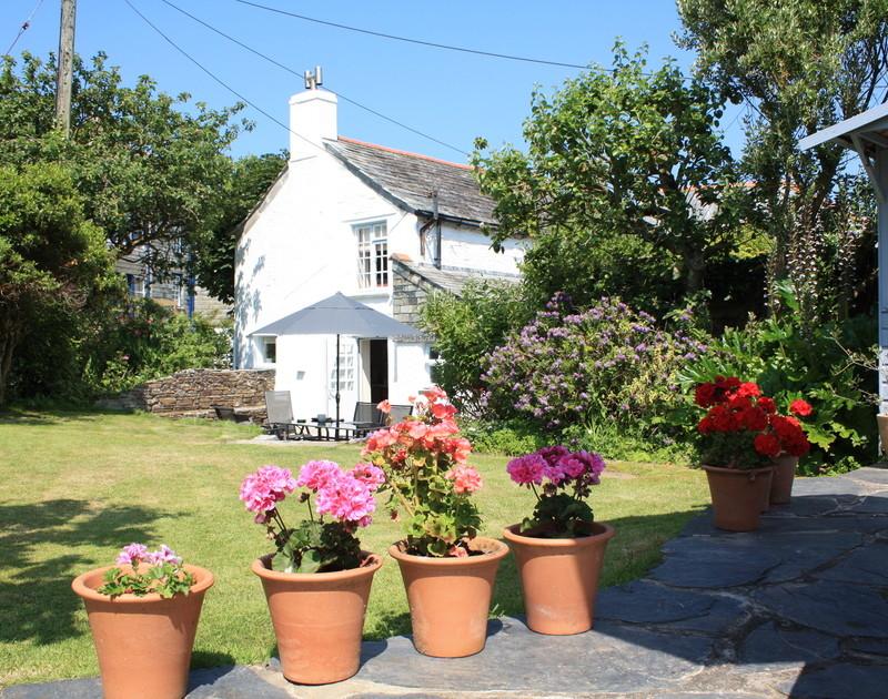 Holiday Cottage Reviews for Brook Cottage - Holiday Cottage in Port Isaac, Cornwall Inc Scilly